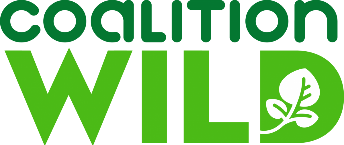 Coalitionwild logo high res transparent 3